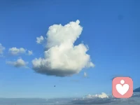幸福感这个东西呀，你越是刻意追逐，它就越远离你；

它只会在你忘记自己、全身心投入一个有意义的目标时悄然降临。