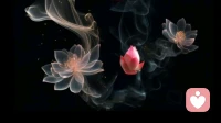 在心底，种一朵花