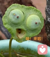 心态炸裂的时候，就不要勉强自己再去输出，所以我选择，休息配图