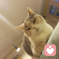至本需要慢慢来  但我可以提供一些方式方法先治标短时间缓解  解决问题   让自己好起来那怕是一短时间  然后才有状态解决本源问题配图