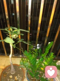 下雨天，莫名有种说不上来的感觉配图