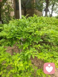你是不是也有很多话，不知道该跟谁说。
委屈，压力，迷茫，难过......不用硬撑，也不用假装坚强。
我是一名倾听者，
耐心，安静，不评判，不打断。在这里，你可以放心做自己，把心里的情绪慢慢说出来。
陪你聊天，听你倾诉，给你陪伴。
愿你被温柔以待，也被自己善待。
私信我，我一直在。配图