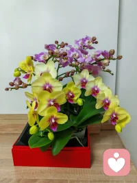 婚恋里最怕的，不是出轨，不是没钱。是你说了很多次，他始终没听进去。是你累了想靠一下，她刚好转过了身。后来你不再说了，也不再靠了。不是不爱了，是攒够了。