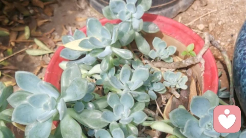 离婚那句“从来没爱过”像把刀,我花了三个月才敢说出口我也疼