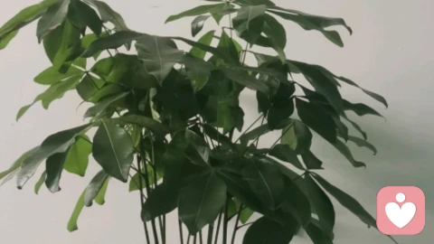 我藏了三年的秘密:现任对我再好,我还是偶尔会想起前任