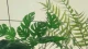 既然贪恋那点“特殊待遇”，就得有随时清醒离场的底气