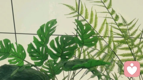 既然贪恋那点“特殊待遇”，就得有随时清醒离场的底气