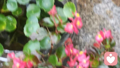 别傻了，故意不回消息的测试，只会把爱你的人推远