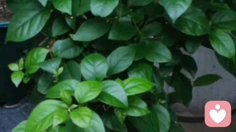 结婚五年的男士找我咨询,坐了半天憋得脸通红,才挠着头开口:“姐,你说我是不是有点变态啊?我总幻想跟我老婆在厨房试一次,可我不敢说。”