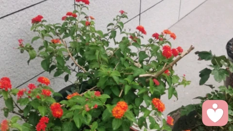 事后立刻躲去清洗的背影里,藏着多少不敢说出口的焦虑