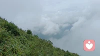 在以往的岁月深有所悟，爱人终需先爱己，自己完整才能同频相遇配图