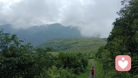 在以往的岁月深有所悟，爱人终需先爱己，自己完整才能同频相遇配图