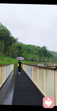 学会和自己和解，接纳所有的不完美。不必活在别人的期待里，也不用事事追求圆满。按自己的节奏，一步一步往前走，不慌不忙，不卑不亢。允许一切发生，也允许一切结束，和自己的情绪温柔相处。日子普通，却藏着独属于你的温柔与光亮。愿往后的每一天，你都能被生活温柔以待，活成自己喜欢的模样。配图