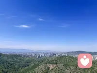 人在绝境或是失望到极点的时候会长出铠甲。那道你以为跨不过去的深渊，回头再看，正是你长出翅膀的地方！配图