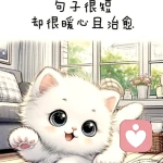 抚平心绪🕊️的头像