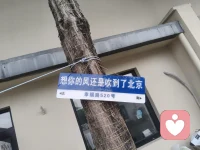 如果您的孩子畏手畏脚、不敢表达，如果你只会责怪孩子“怎么这么没用”。如果你想让你的孩子恢复自信，你可以找我聊聊！

我们要知道，孩子“骨子里的不自信”，其实是在成长的某个阶段，弄丢了和自己做朋友的能力。
孩子不是天生就怯懦，他们眼里的自己，其实是父母评价的投影。
想要让孩子摆脱骨子里的不自信，父母最重要！具体怎么做，可以找我聊聊！配图