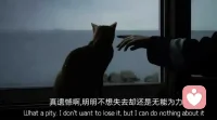 要怎么样才会快乐起来呢？是有钱，是谈恋爱还是祈祷生活一如既往的美好？现在的我好像因为一件事情就会变得不快乐，我常常在想，是不是我的情绪太过敏感。

      我好像变得越来越不快乐了，表面的我是看起来是开心的，但实际的我是悲伤的。我不知道怎么说是快乐没有达到心底吗？好像是吧。明明之前也会因为吃到开心的甜品，看到有趣的事物会快乐，但现在吃再甜的甜品也治愈不了心灵，可能是因为我的内心很悲伤吧。

      要怎么样才能无忧无虑，我时常不快乐的第一反应是回家是逃避。我知道逃避解决不了任何问题可偶尔哭一次是最能解决问题的。哭完后好像也放下了，但内心还是不快乐。我时常告诉自己要做一个快乐的人，可根本做不到，表面快乐也是快乐吧！

      不知道如何形容我最近发生的一切，但我还是想要快乐。配图