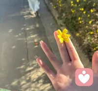 他对你好的时候，你只想逃。他说喜欢你的时候，你不是开心，而是感觉到一种莫名的压力。你不是渣，你可能只是——回避型依恋。
你想去拥抱他，但又害怕扎满手刺。
当他靠近你的时候，你下意识又想后退。
那种被侵犯领地的窒息感，那种快要被吞没的亲密感，让你从心底里恐惧。你永远在两个极端之间拉扯：他不理你，你会胡思乱想一整夜；他对你好，你又恨不得消失一整天。这不是不爱，而是不敢爱。配图