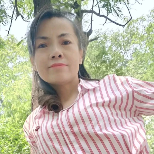 心事摆渡人
