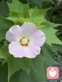 “我意识到我是谁，这取决于我定义自己的方式，而不是别人如何定义我。”配图