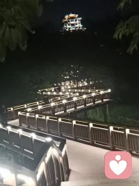 如果不曾抱有太多希望，或许就不会如此失望了吧!