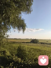 睡喽，晚安💤