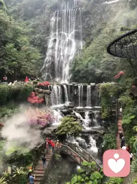 大家好。配图