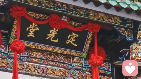 黑色生命力