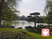 这是我听过最通透的一段话，今天分享《自渡》。在现实面前，静下心来想想，真正为你考虑的人少之又少，更多的是挑剔和指责。哪有什么避风港，风急雨大，冷暖只能自己体会，全靠自己撑过去。后来我不再问为什么，也不再想凭什么。那些掏心掏肺换来的敷衍，那些真心实意撞上的算计，全都变成了护在身上的铠甲。委屈了就蹲下来抱抱自己，流了泪就擦干脸继续往前走。毕竟路得自己走，苦得自己扛，天黑了连影子都会离开你，更何况是人。慢慢明白，成年人的世界从来都是一个人的战场，能渡你的，只有你自己。配图