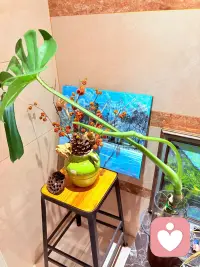 你现在要做的是长时间极致的独处，大量的睡眠，不被灌输周围人的任何观点，极致的专注，按时吃饭，按时睡觉，戒掉你的自怜不要死在自己想象的风暴里。
就这样，慢慢养出一个全新的充盈的自己。
旧人旧事，已经开始幻灭。
就像花瓣已经掉进土壤，因缘合和下，一切归零，过去的因果已完成，意义已经体现。配图