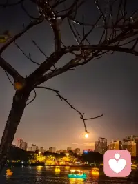“高情商感谢话术：”1．把谢谢改为，——心意收到，心里很暖。2．把麻烦你了改为，——占你这么多精力，非常感谢。​​3．把“辛苦啦”改为，——这件事多亏有你帮忙，省了我好多事。
4．把“不好意思，多谢”改为，
—要不是你出手相助，我真不知道该怎么办。
5．把“太感谢了”改为，
——你的这份帮助，我记在心里了。
6．把“多谢帮忙”改为，
——愿意抽出时间帮我，真的特别难得。
7．把“感激不尽”改为，
——有你这样的朋友，感觉特别幸运。
8．把“劳驾你了”改为，
——这件事让你费心费力，实在过意不去。
9．把“非常感谢”改为，
——你的建议对我启发很大，受益匪浅。
10．把“多亏你”改为，
——有你的帮忙，整件事顺利了不少。
11．把“谢谢你的礼物”改为，
——这份礼物很合我心意，看得出来你很用心
12．把“感谢关照”改为，
——一直承蒙你的体谅与照顾，内心十分感念