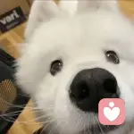 【明哲】的头像