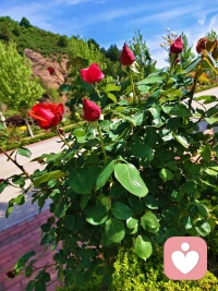 多去外面走走，看看外面的风景配图