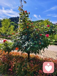 多去外面走走，看看外面的风景配图