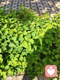 多去外面走走，看看外面的风景配图