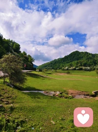 多看看外面的风景，吸收灵气配图