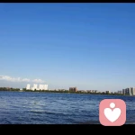 灵动小熊🐬的头像