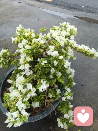 愿意倾听你的烦心事，愿意花时间陪伴配图