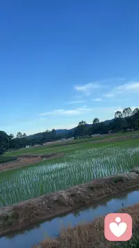 今日份想分享的是：
很多人说“嫁人是女人一生最大的赌注”但完整的是：嫁人是人生赌注，却不能赌上全部的自己。在我的世界观里：婚姻是锦上添花，不是人生救命稻草。真正的底气是来自活出来的自己。