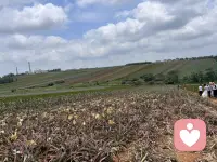 日子缓缓，生活散散。抛开繁杂的思绪，用心感受当下的温柔。风轻轻吹过，时光慢慢流淌，守着一份简单与安稳，三餐温暖，心境安然。愿往后的每一天，都轻松自在，岁岁舒心。