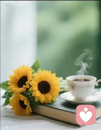 弘一法师说：天若欠你，天必还你，你尽管善良，福报在来的路上，照顾好自己的健康和情绪，你的这一场人生，就已经赢了大半，其余的上天自有安排。