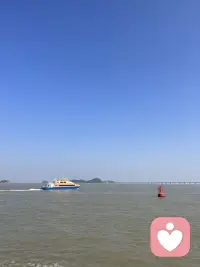 慢慢来，日子会慢慢甜的我总对自己这样说，就是前段时间嘛总觉得生活一团乱，夜里常常失眠，对着窗外发呆，觉得好像什么事都做不好。

某天傍晚下楼散步，看见隔壁一位阿婆坐在长椅上，慢悠悠地整理手里的干花。我站在一旁看了许久，她笑着和我搭话：“谁都有走得慢的时候，不用逼自己跑太快。”

是啊，人生不是冲刺赛。允许自己偶尔低落，允许脚步放慢。风雨会停，乌云会散，那些当下觉得跨不过去的坎，终会变成身后平坦的路。好好善待自己，时间会把温柔和惊喜，一点点送到你身边。