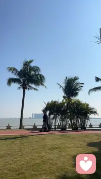 慢慢来，日子会慢慢甜的我总对自己这样说，就是前段时间嘛总觉得生活一团乱，夜里常常失眠，对着窗外发呆，觉得好像什么事都做不好。

某天傍晚下楼散步，看见隔壁一位阿婆坐在长椅上，慢悠悠地整理手里的干花。我站在一旁看了许久，她笑着和我搭话：“谁都有走得慢的时候，不用逼自己跑太快。”

是啊，人生不是冲刺赛。允许自己偶尔低落，允许脚步放慢。风雨会停，乌云会散，那些当下觉得跨不过去的坎，终会变成身后平坦的路。好好善待自己，时间会把温柔和惊喜，一点点送到你身边。