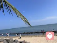 慢慢来，日子会慢慢甜的我总对自己这样说，就是前段时间嘛总觉得生活一团乱，夜里常常失眠，对着窗外发呆，觉得好像什么事都做不好。

某天傍晚下楼散步，看见隔壁一位阿婆坐在长椅上，慢悠悠地整理手里的干花。我站在一旁看了许久，她笑着和我搭话：“谁都有走得慢的时候，不用逼自己跑太快。”

是啊，人生不是冲刺赛。允许自己偶尔低落，允许脚步放慢。风雨会停，乌云会散，那些当下觉得跨不过去的坎，终会变成身后平坦的路。好好善待自己，时间会把温柔和惊喜，一点点送到你身边。