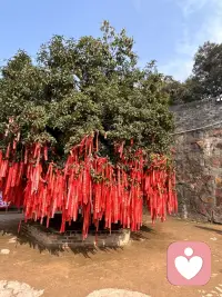 慢慢发现，很多心理内耗都源于想太多。反复揣摩他人的一句话，纠结已经发生的事，脑补无数种未到来的结果，思绪被困在原地，身心都跟着疲惫。生活本就琐碎，别让多余的思虑困住脚步。学会及时止损，放下执念，减少胡思乱想。专注当下，少比较、少猜忌、少纠结。内心安稳，日子才能过得从容自在。稳住心态，好好生活，便是最好的状态。
