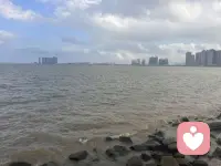 人生不必时时刻刻步履匆匆，也不用强迫自己追赶旁人的节奏。我们总会被现实的焦虑裹挟，纠结过往的遗憾，担忧遥远的晚年，在日复一日的精打细算里消耗内心的温柔。

其实平凡的生活本就没有标准答案。有人热衷于积攒底气，有人选择活在当下尽兴度日，两种生活方式从来不分高低。

允许自己偶尔松弛，接纳当下所有的不如意。不必苛求事事圆满，慢慢沉淀，好好谋生也好好养心。安稳走好眼前的每一段路途，时间终会回馈温柔，抚平心底所有浮躁与不安。慢下来，好好对待自己