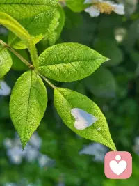 生活
总有不期而遇的难题
说出来
就是疗愈的开始
当你需要时
我在这里为你点亮一盏灯❤️