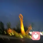 安静蒲公英🦦的头像
