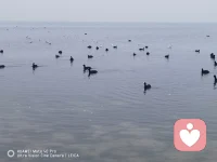 世界很吵，但你的声音我想听清楚，无论你心里藏着什么，这里永远有一个安静的角落等着你的到来。配图