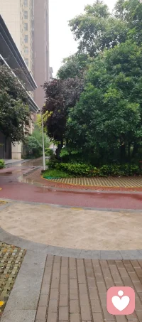 雨一直在下，我一直在想，天在下雨，我在干嘛？配图